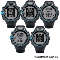 Garmin Swim Watch